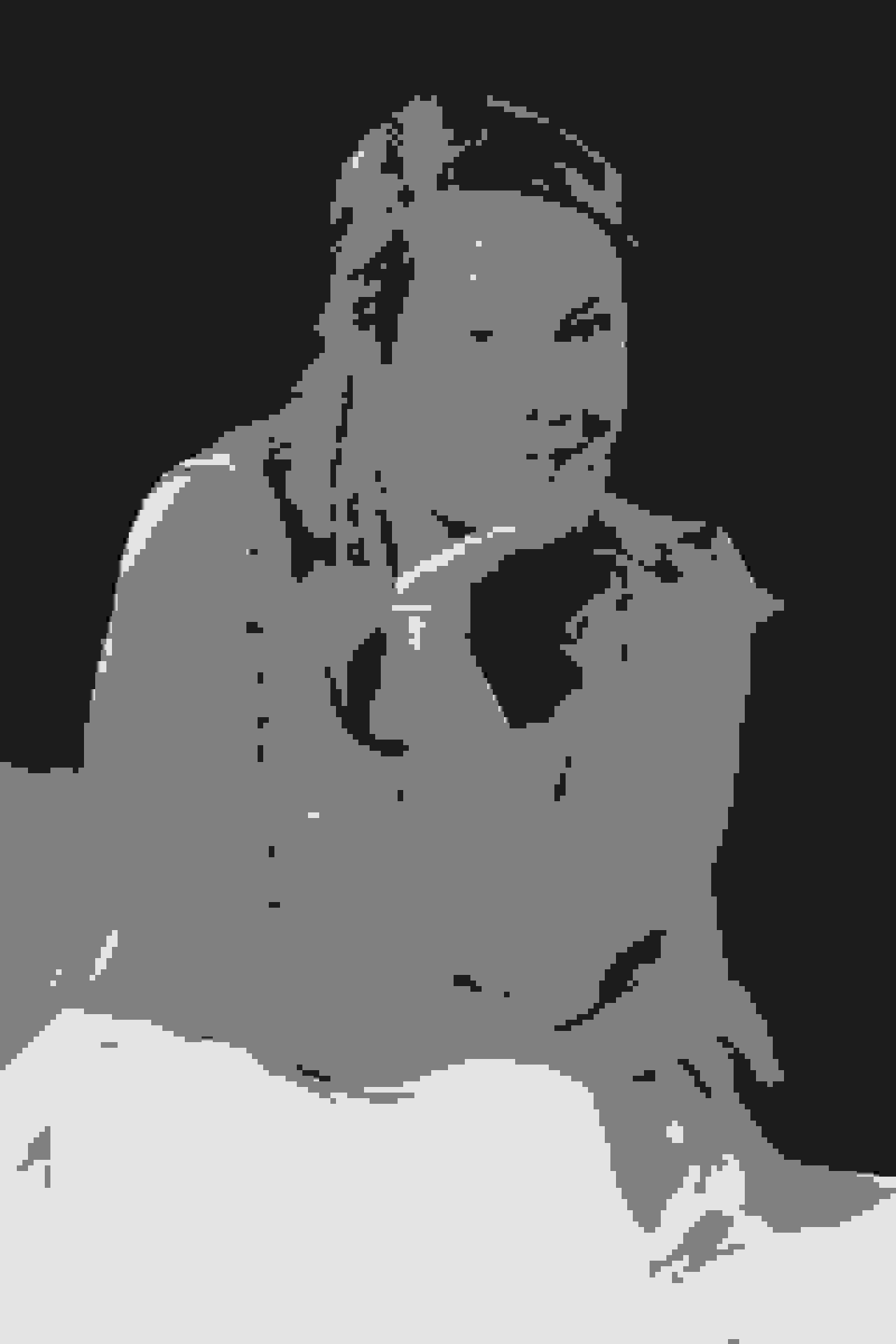 Portrait of Madlen Jordanova