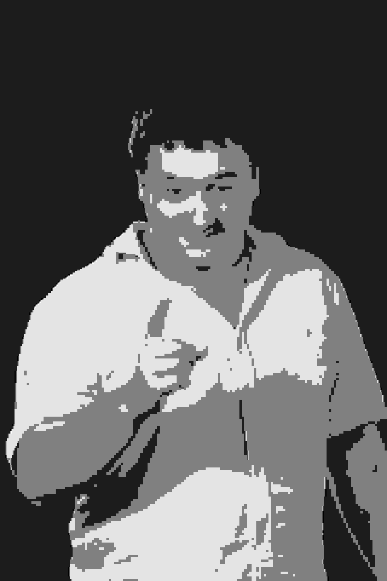 Poster of Веселин Христов Иванов