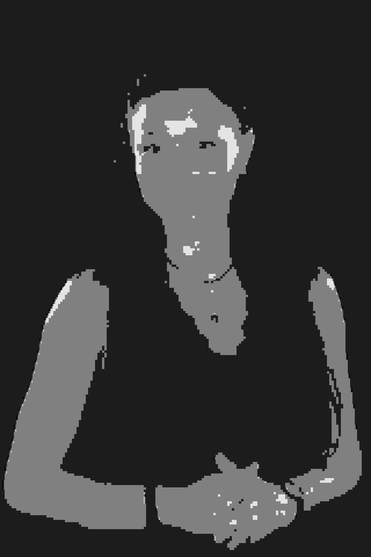 Poster of Denitsa Slaveva