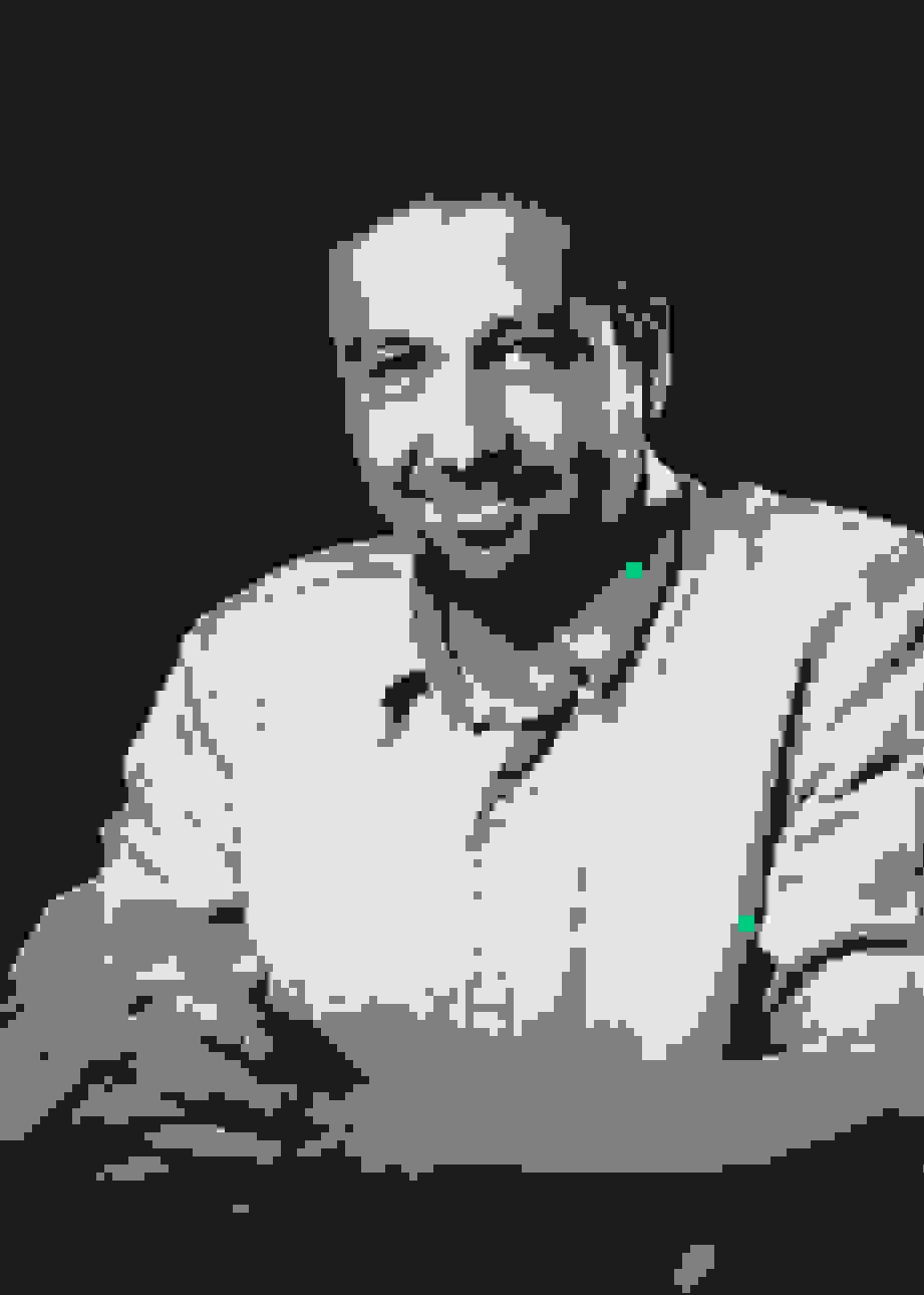 nikola-profile-image
